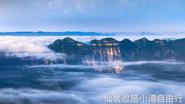 拯救可爱小鳄鱼